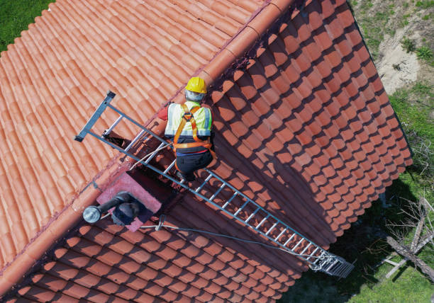 Best Tile Roofing Installation  in Forrest, IL